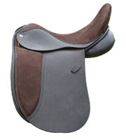 Magic Jubilee Dressage