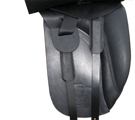 DMP53