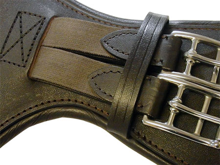 DMP53