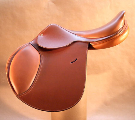 DMP53