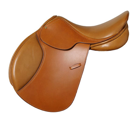 DMP53